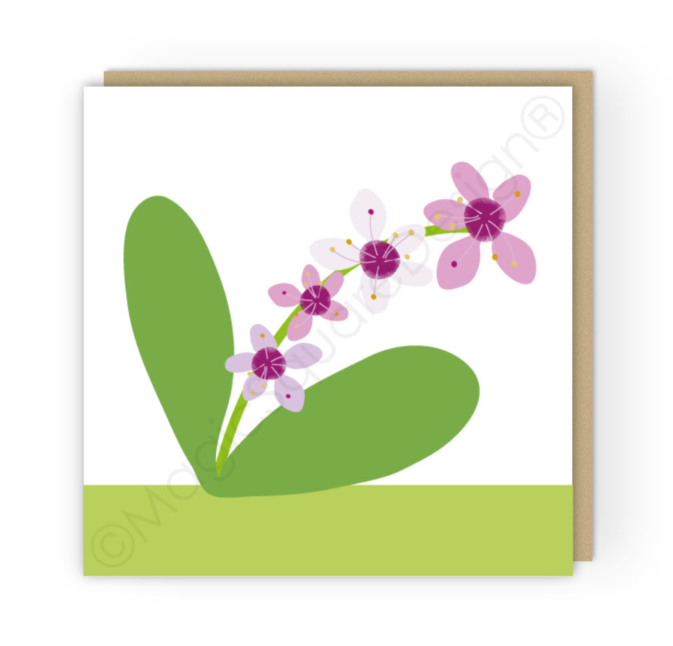 Orchid Greetings Card